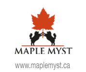Maple Myst Performance Training and Finnish Lapphunds